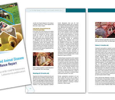 Aiadsr2015-Report_final-1